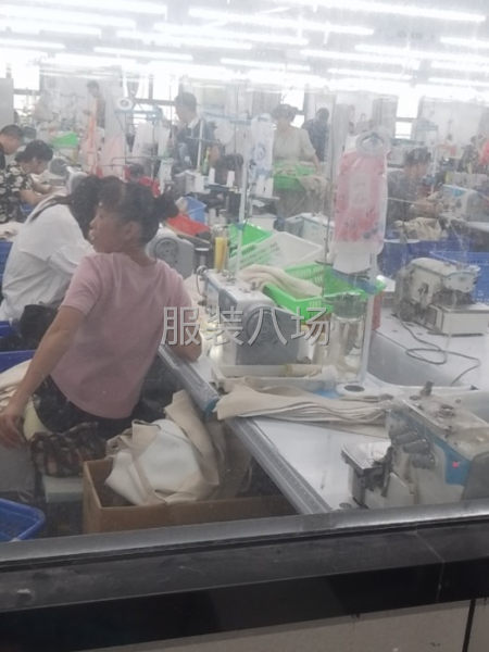 招整件车位夫妻优先-第1张图片