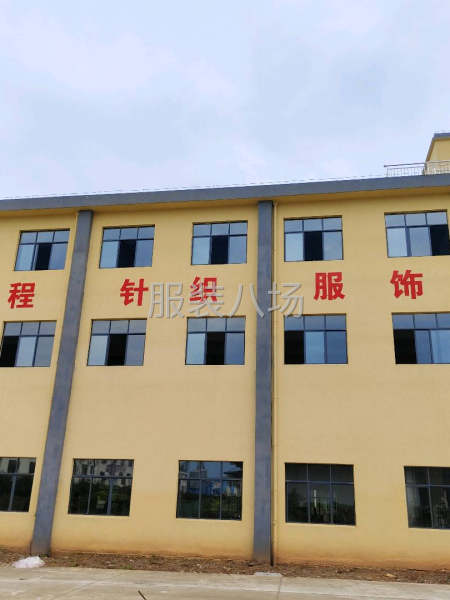 专业针织~圆领T恤~卫衣卫裤~100多人-第1张图片