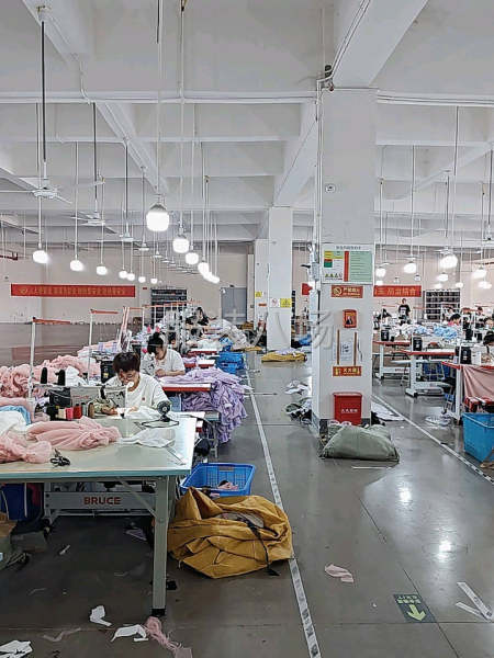 有全盘操作能力，行动力强-第1张图片