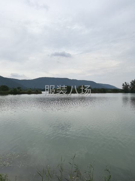 羽绒服货源稳定，工资月清-第1张图片