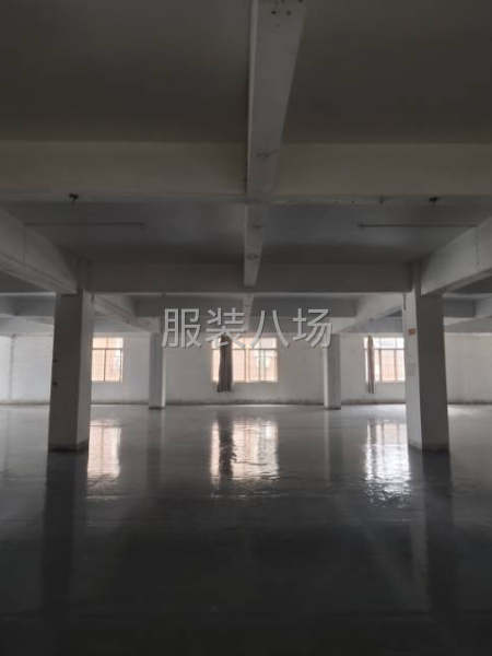 大石河村服装空厂房出租-第4张图片