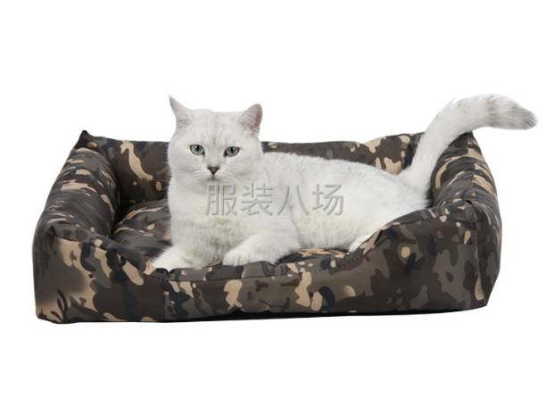 品类不限  但是一定要软 不透-第2张图片
