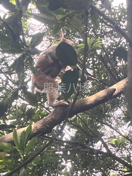 10-20人工厂寻求订单-第1张图片