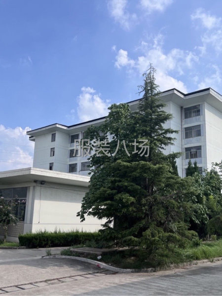 招流水车工，待遇优厚，工头勿扰！-第2张图片
