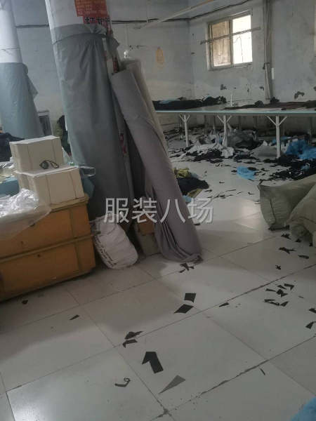 专业女裤招聘-第3张图片