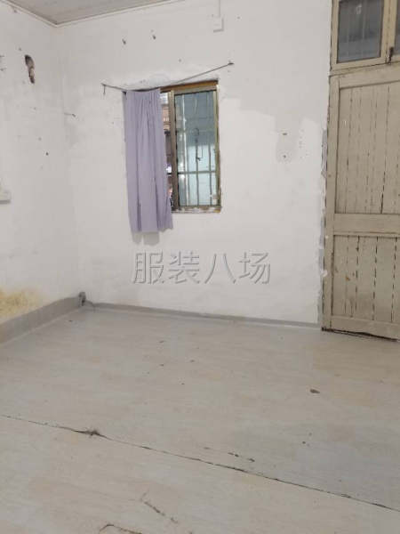 一楼小房子出租-第2张图片