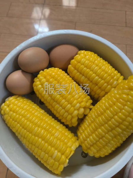 有里袋外发吗-第1张图片