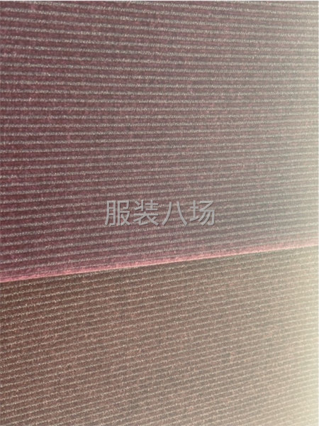 典韵每日一推荐-第1张图片