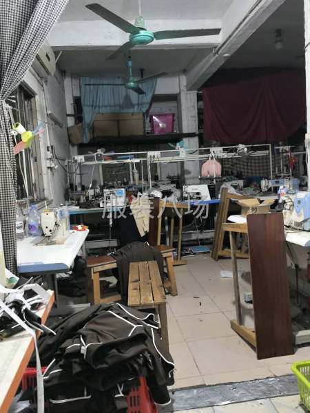 寻求女装客户长期合作-第2张图片