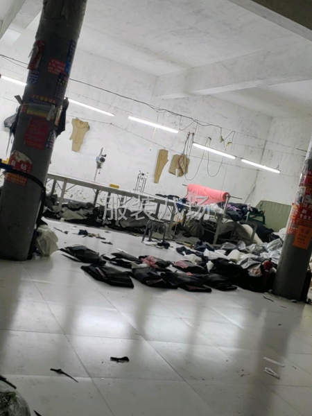 10-20人加工厂承接订单-第3张图片