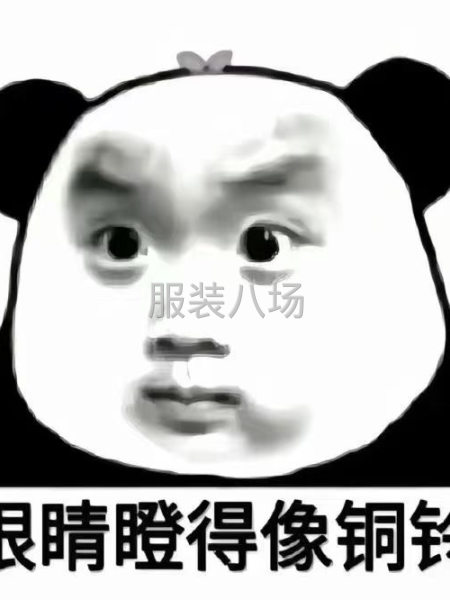 专注柔性贴合各大电商平台服装公司 广州中大源头一站式全品类面-第2张图片