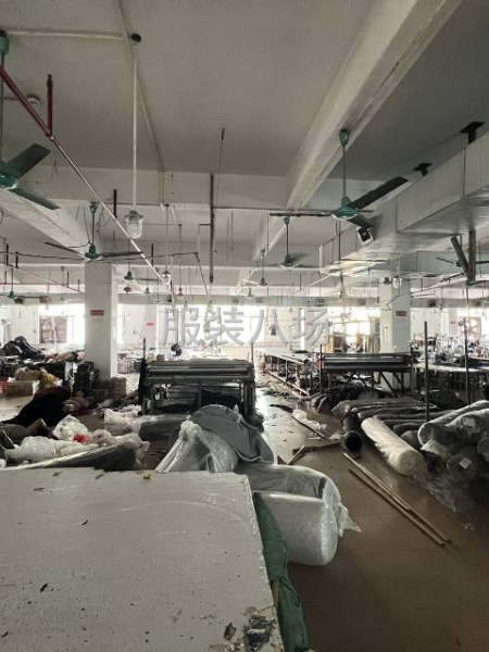 塘步东1000方带12间宿舍 楼下就是招工点-第2张图片