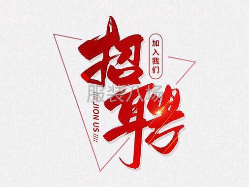 半精做女装，马夹，裤子，礼服，小西装，风衣，大衣，羽绒服-第1张图片