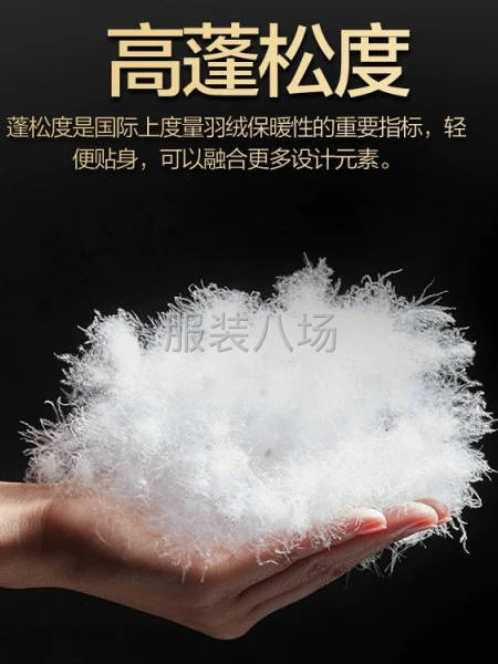 厂家直销羽绒-第5张图片