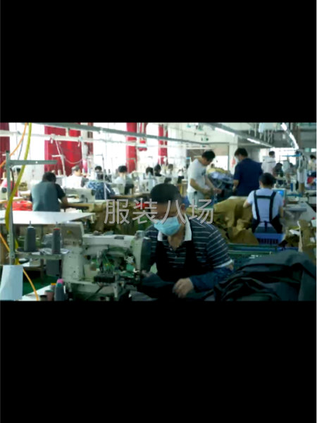 招版师，常年款式单一-第1张图片