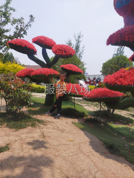 承接服装加工-第1张图片