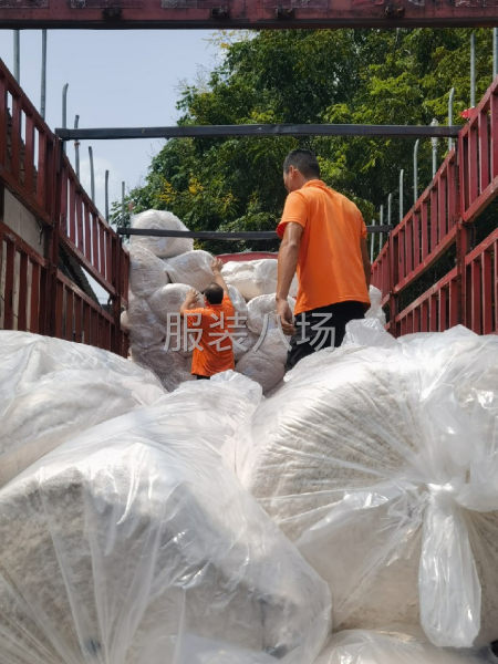 招专业，平车拷边，工资记件，月发不压-第1张图片