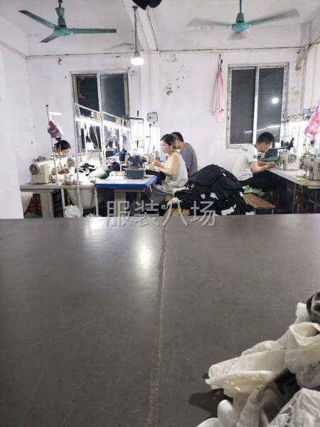 网纱、蕾丝、金丝绒连衣裙、衬衣-第2张图片