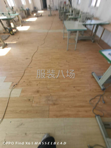 团队招募精英缝纫工-第1张图片