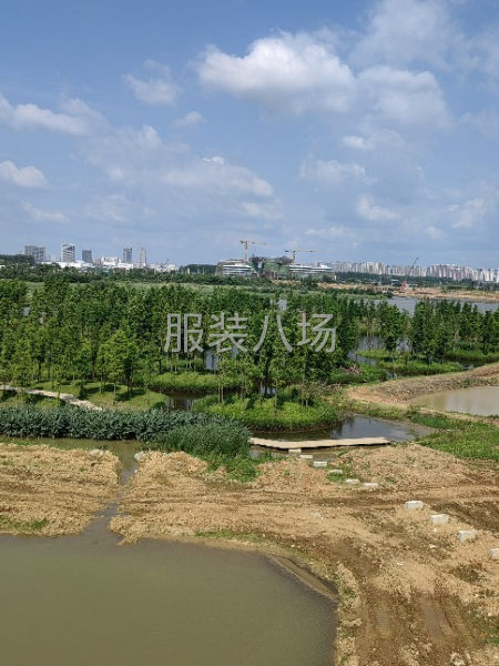 设备齐全，带工人，超低价转让，上手开工-第1张图片