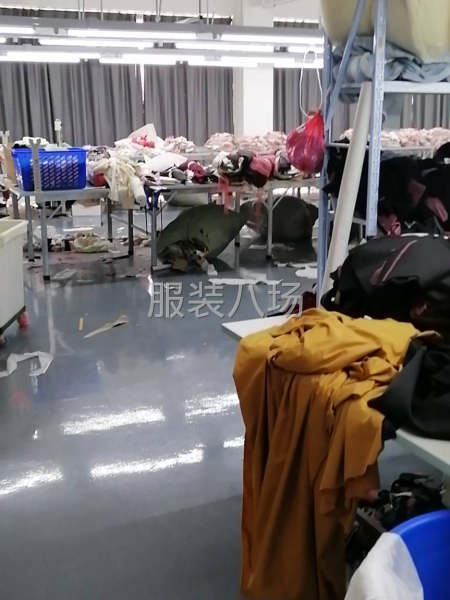 公司货小单招裁剪-第1张图片