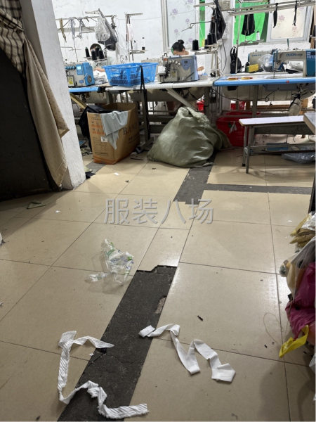 外套，呢料，衬衫连衣裙-第1张图片