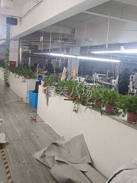 承接服装加工-第1张图片