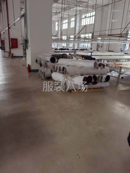 要熟手电剪师傅-第1张图片