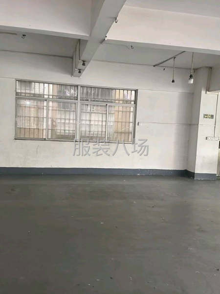 大石礼村原服装厂退出290方-第4张图片