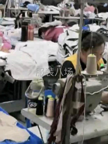 10-20人加工厂承接订单-第1张图片