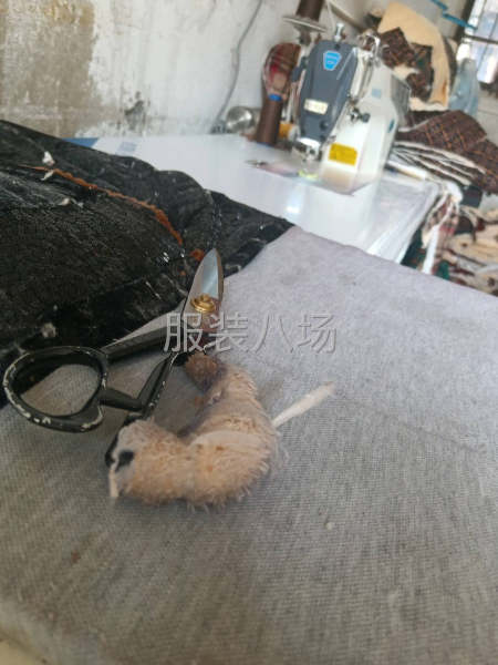 夫妻档找活-第1张图片