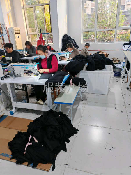 本厂加工毛绒玩具，针织服装-第2张图片