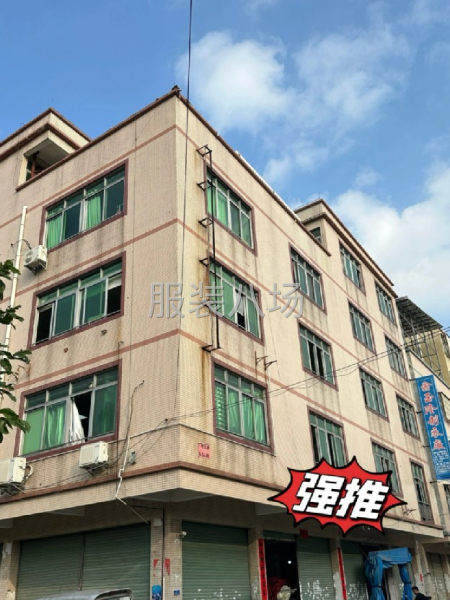 本厂承接各类 梭织+针织单快返-第1张图片