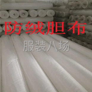 300T防绒胆布-第1张图片