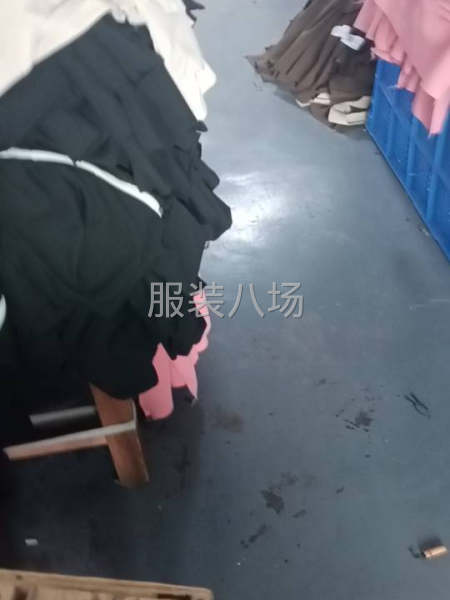 专业产衬衫，裤子，T恤-第1张图片