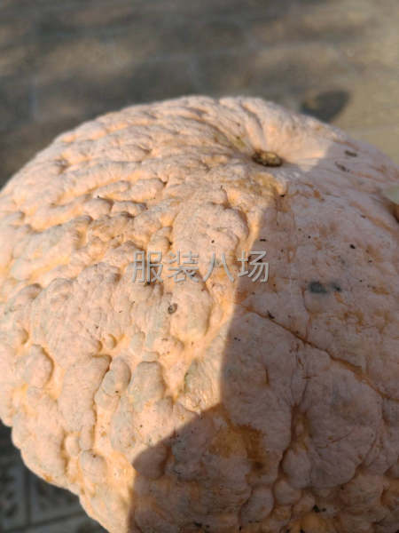 全国临时工团队长期短期都可以有需要的老板欢迎来合作-第1张图片