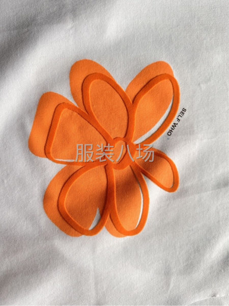 承接各种服装印花-第3张图片