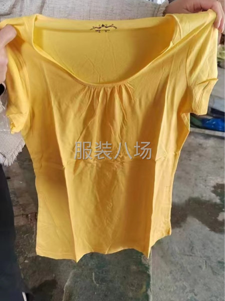 女士的整单体体恤，原包装原吊牌亏本处理1块钱一件-第1张图片