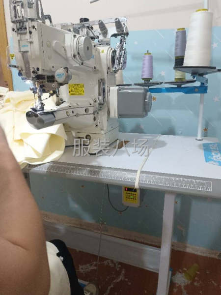 求职全职双针坎车卷袖口下摆绷缝压线拉腰双针活塞,经验8年-第1张图片