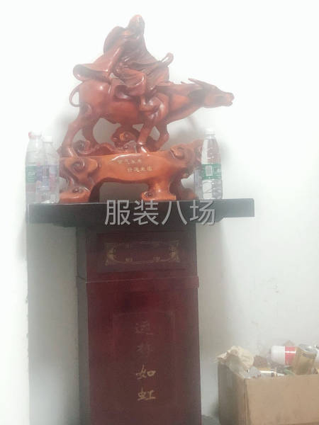 专业服装后整理-第1张图片