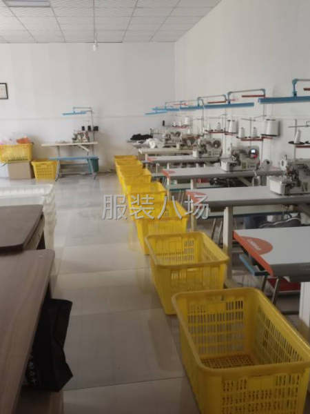 10-20人工厂寻求订单-第1张图片