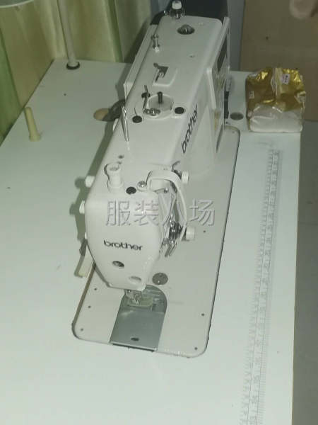 个人家用的电脑缝纫机-第3张图片