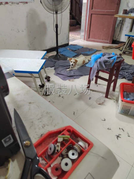 棉衣衬衣毛毛都可以做-第1张图片