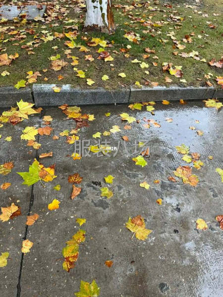求职全职裁剪主刀,经验12年-第1张图片
