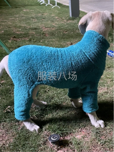 宠物衣服，专业打边，平车，天天做一样工序，货多-第4张图片