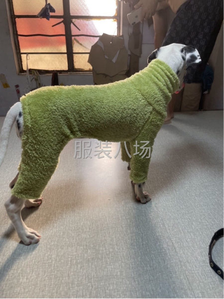 宠物衣服，专业打边，平车，天天做一样工序，货多-第3张图片