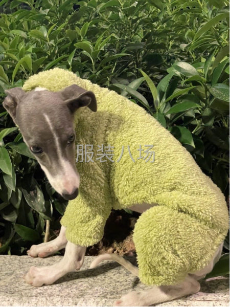 宠物衣服，专业打边，平车，天天做一样工序，货多-第2张图片