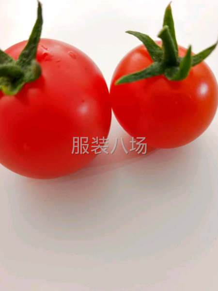 做童装比较多，外贸市场都可以，快反单-第1张图片