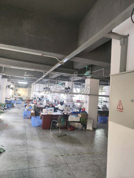 20-50人加工厂承接订单-第1张图片