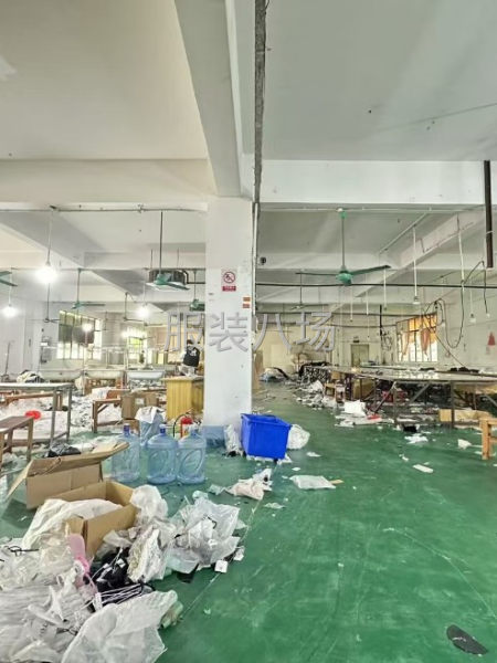 河村园区二楼900方，一手房东直租-第4张图片